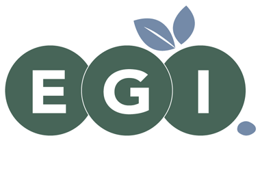 Ezee Group International Ltd